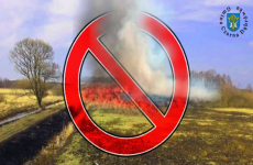 Czytaj więcej: Zakazu wypalania łąk
