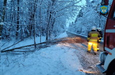 Czytaj więcej: Pierwszy śnieg łamie drzewa i konary. Strażacy interweniowali
